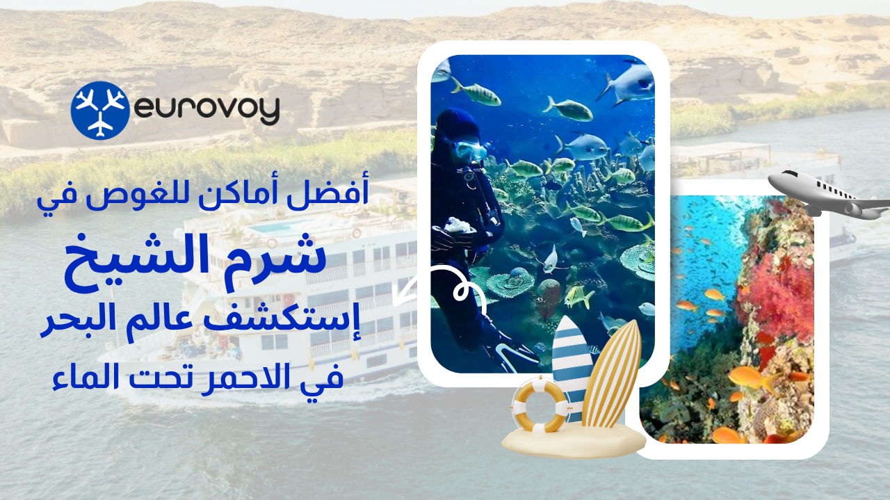 أفضل أماكن للغوص في شرم الشيخ: إستكشف عالم البحر الاحمر تحت الماء 