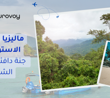 1 20251222 181422 0000 360x320