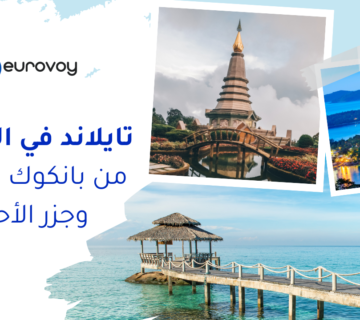 3 20251222 181422 0002 1 360x320