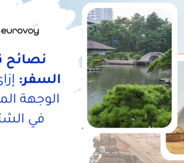 7 20251222 181423 0006 360x320